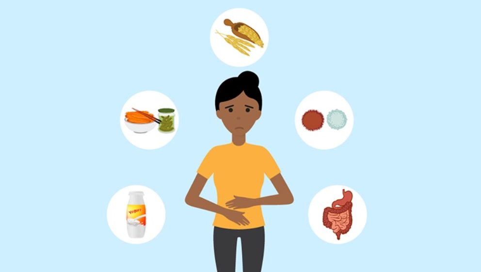 Bacteria and gut health