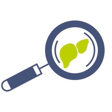 A cartoon image of a magnifying glass and the liver is seen through it.