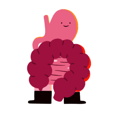 Guts UK cartoon of a smiling pink oesophagus, stomach and bowel wearing black boots.