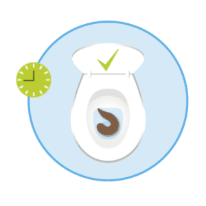 Graphic illustration of an open toilet bowl containing a healthy brown stool, featuring a green checkmark above the bowl and a green clock icon to the left.