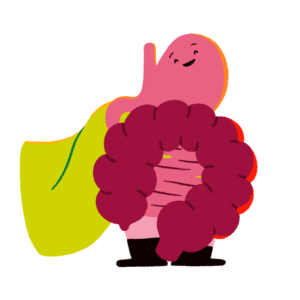 Guts UK's brand character of the gut (oesophagus, stomach, small intestine and colon) wearing a bright green cape and smiling proudly, looking to the upper right.