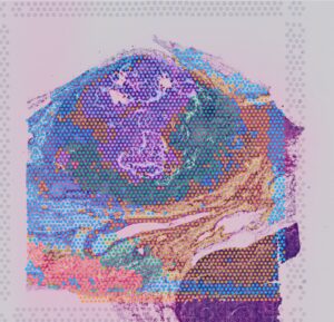 An image of a cluster map from Dr Sharpe's research.