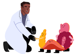 An illustration of a researcher greeting a pancreas, liver and gut.