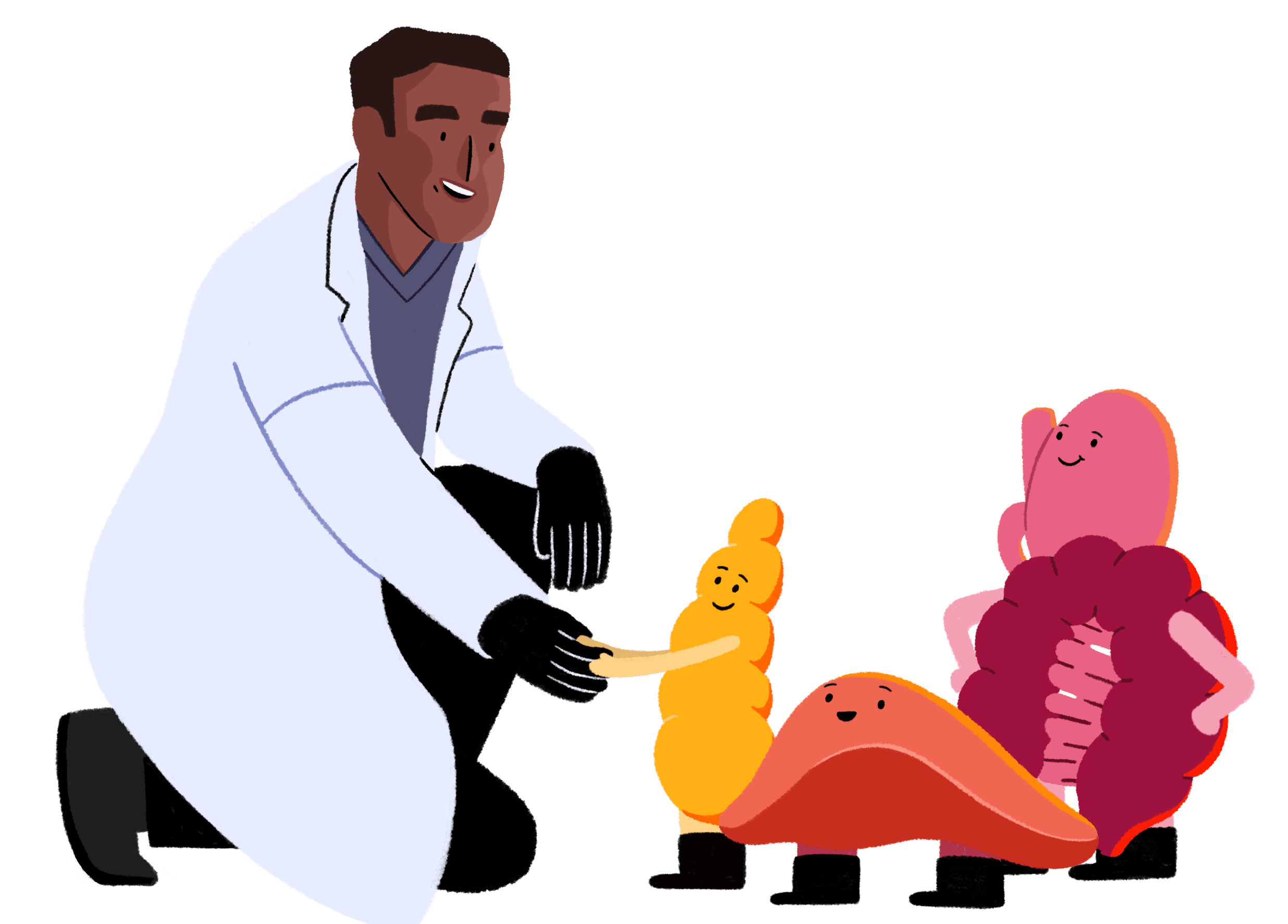 An illustration of a researcher greeting a pancreas, liver and gut.