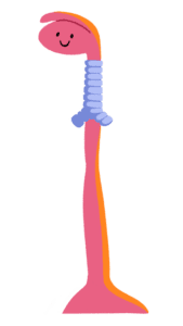 Guts UK Brand Characters of a pink smiling oesophagus named Ollie.