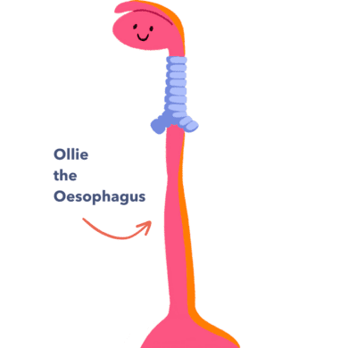 Guts UK's illustrated brand character, Ollie the Oesophagus, smiling.