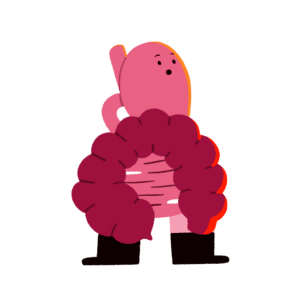 An illustration of a stomach.