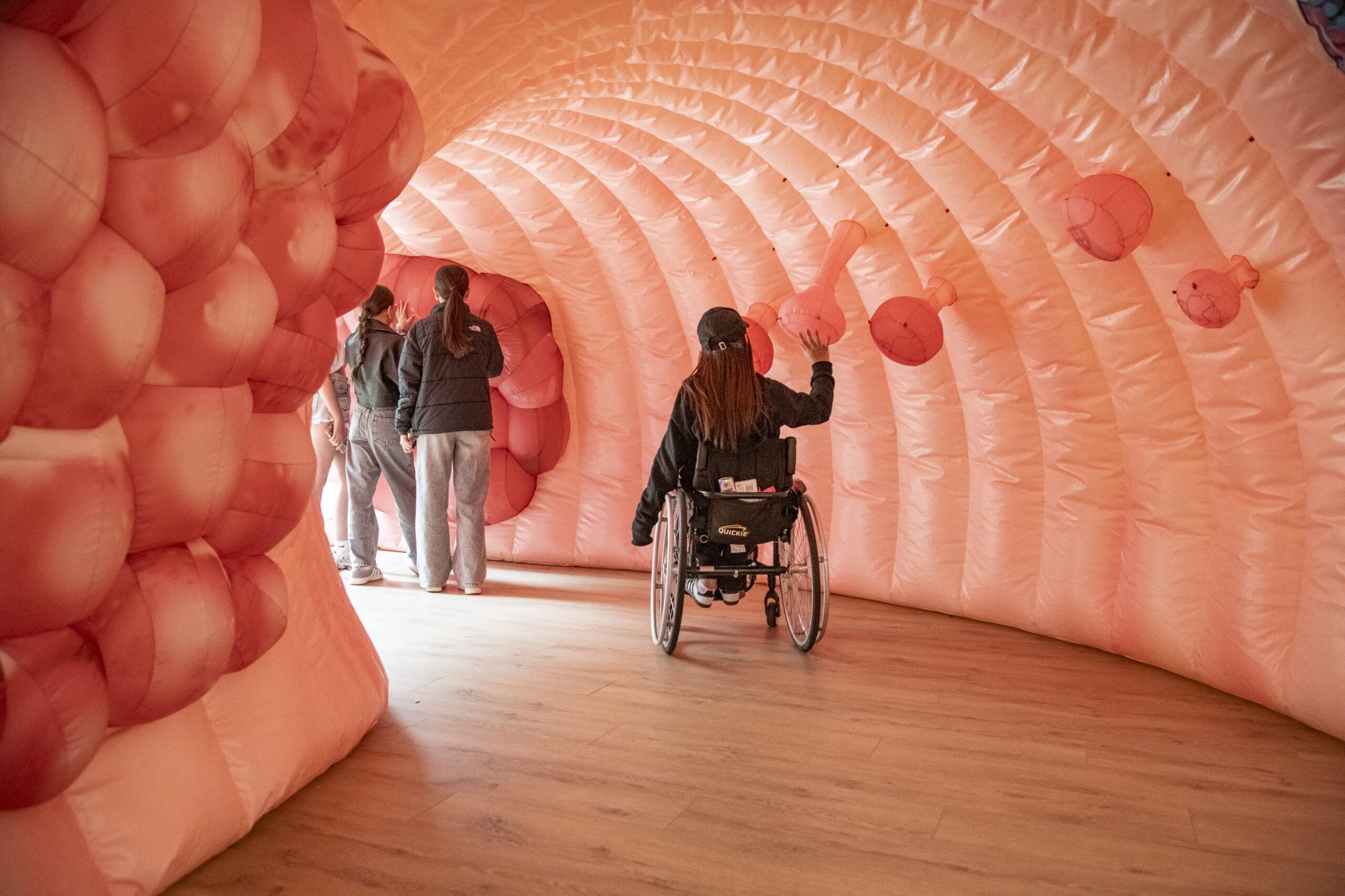Three people take a tour through Colin the inflatable colon. One person is sat in a wheelchair and has their arm reaching out to touch one of the polyps on the wall of the colon. Further into the colon, two people are stood up colon looking at the bowel cancer on the colon wall.