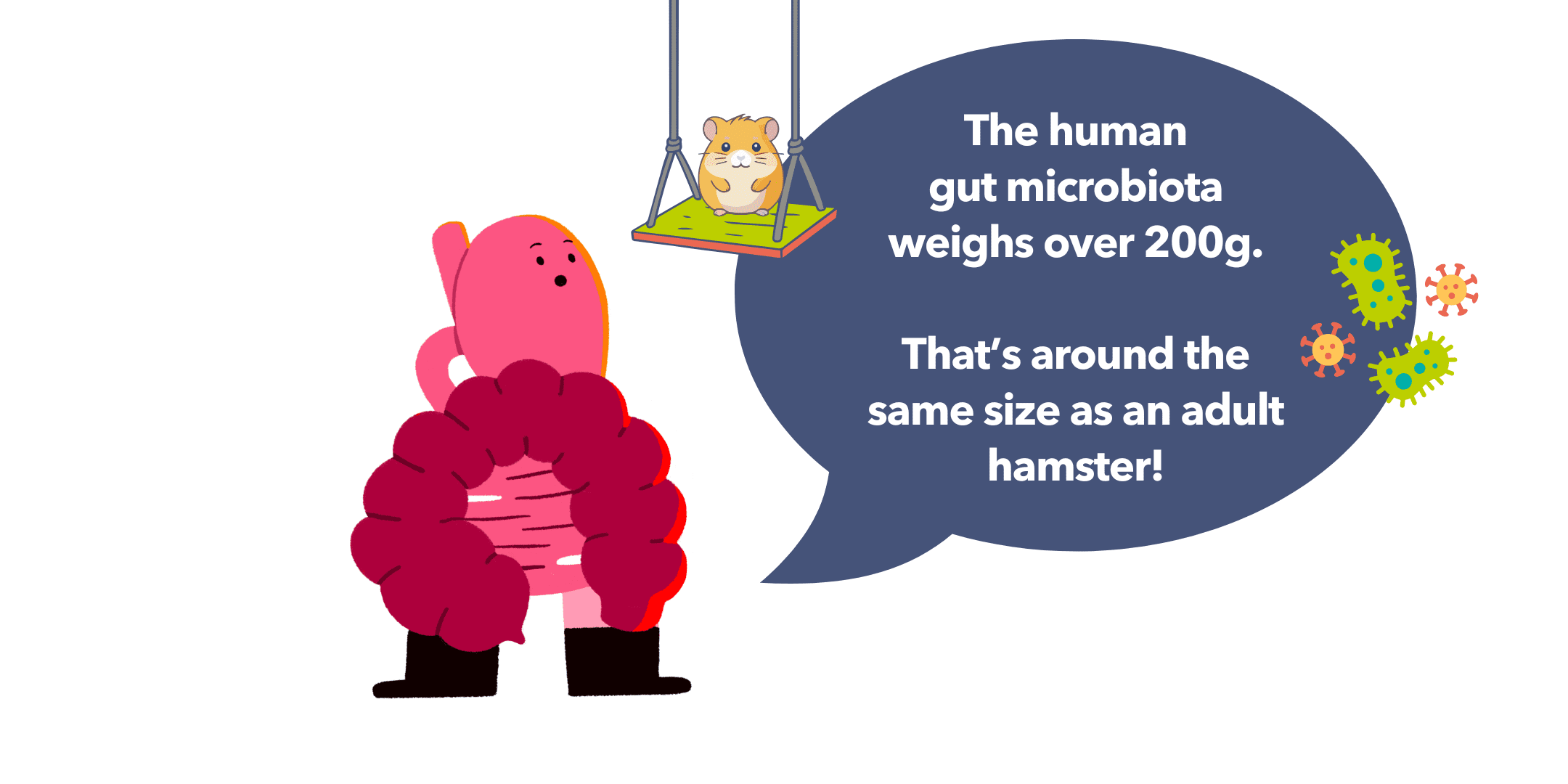 Guts UK brand illustration of Gus the Gut, with a speech bubble that reads "The human gut microbiota weighs over 200g. That's around the same size as an adult hamster!" There is also a cartoon golden brown hamster, sat on a green swing, and a few gut microbiome to the right of the speech bubble.