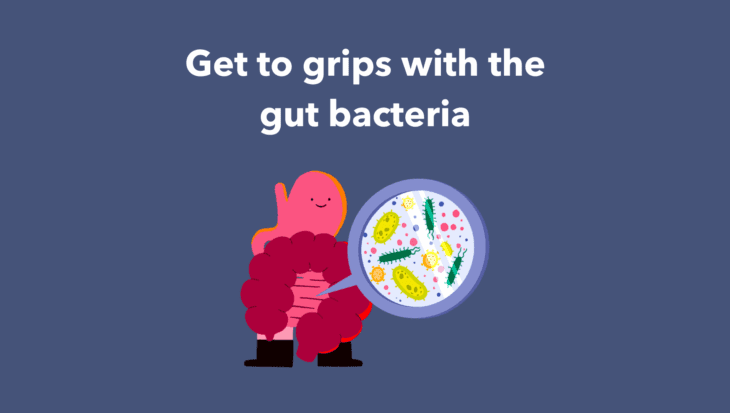 A navy background with an image of Guts UK's brand character of the gut and microbiome under a magnifying glass. The text reads 'Get to grips with the gut bacteria'.