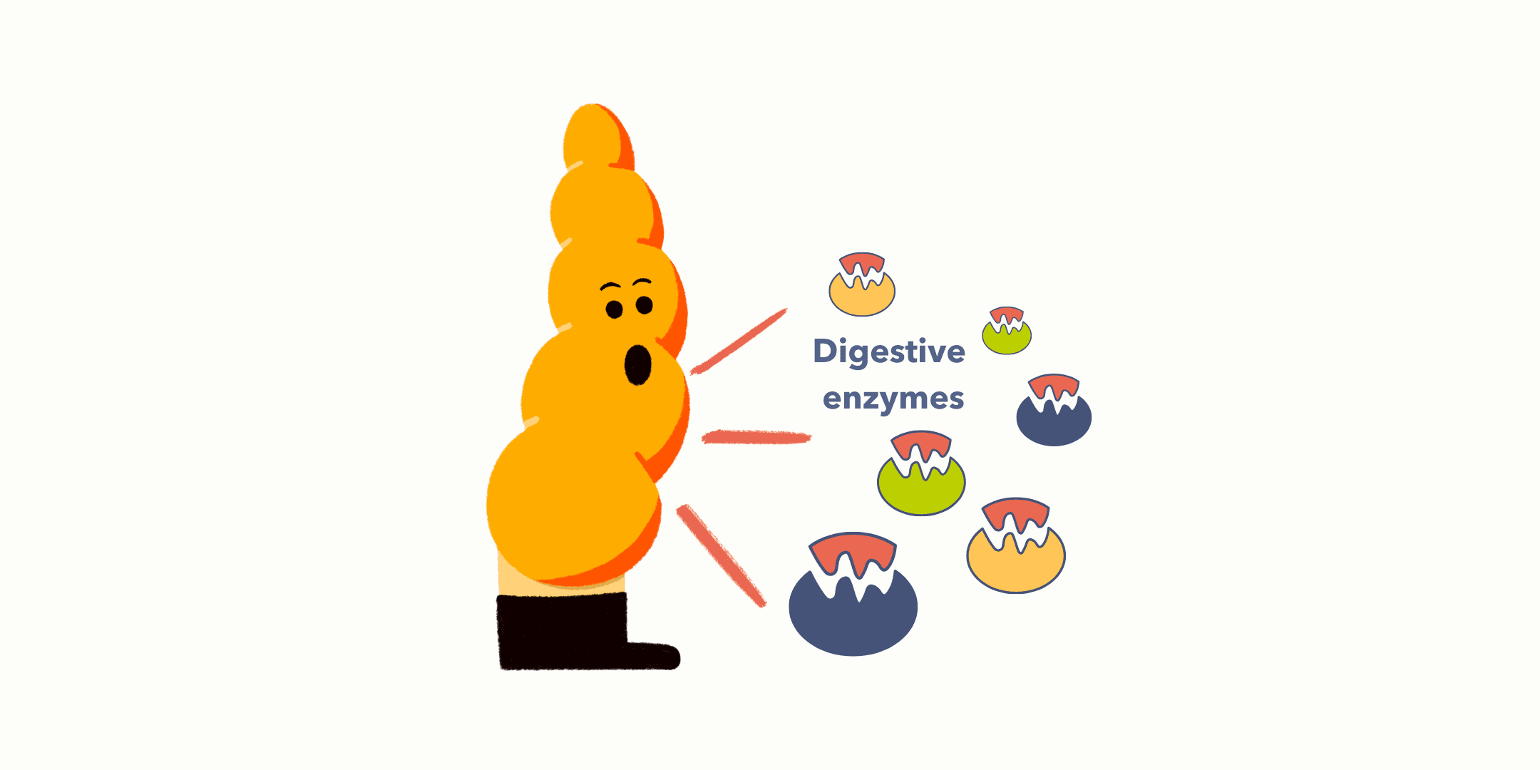 Guts UK brand character illustration of Pablo the Pancreas, looking shocked. He is yellow and wears black boots. To the right of him are several digestive enzymes.