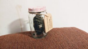 A dark green crochet gallbladder sits inside a glass jar, which has a small wooden sign hanging from the lid that says, "Beth's Gallbladder #KrankyPanky 03/01/82 - 05/02/25." The jar rests on a soft, brown cushion against a plain white wall.