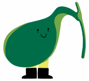 Guts UK's brand illustration character of Gary the Gallbladder smiling. He is green and wears black boots. 