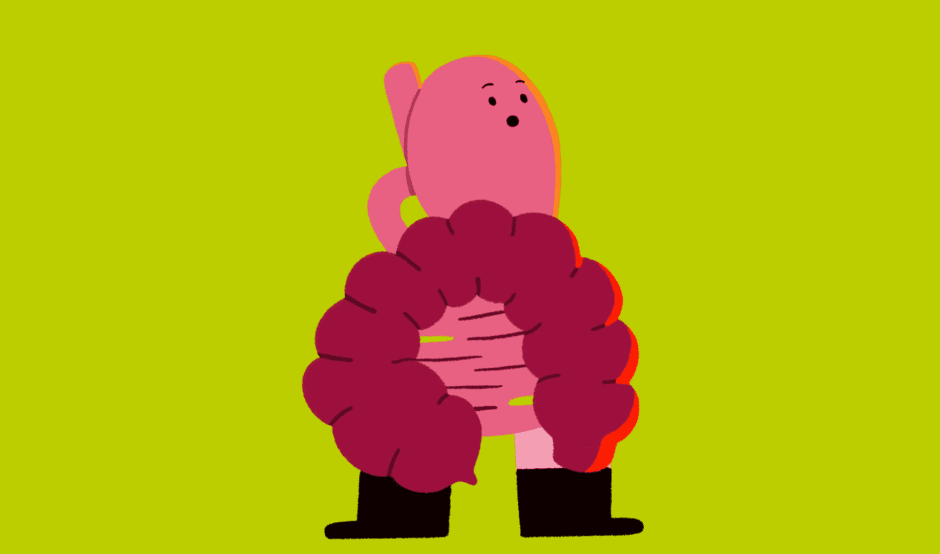 An illustrated character of the gut on a green background.