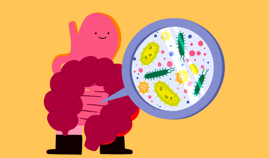 An illustrated character of a gut with a microscopic view of the bacteria inside the gut.