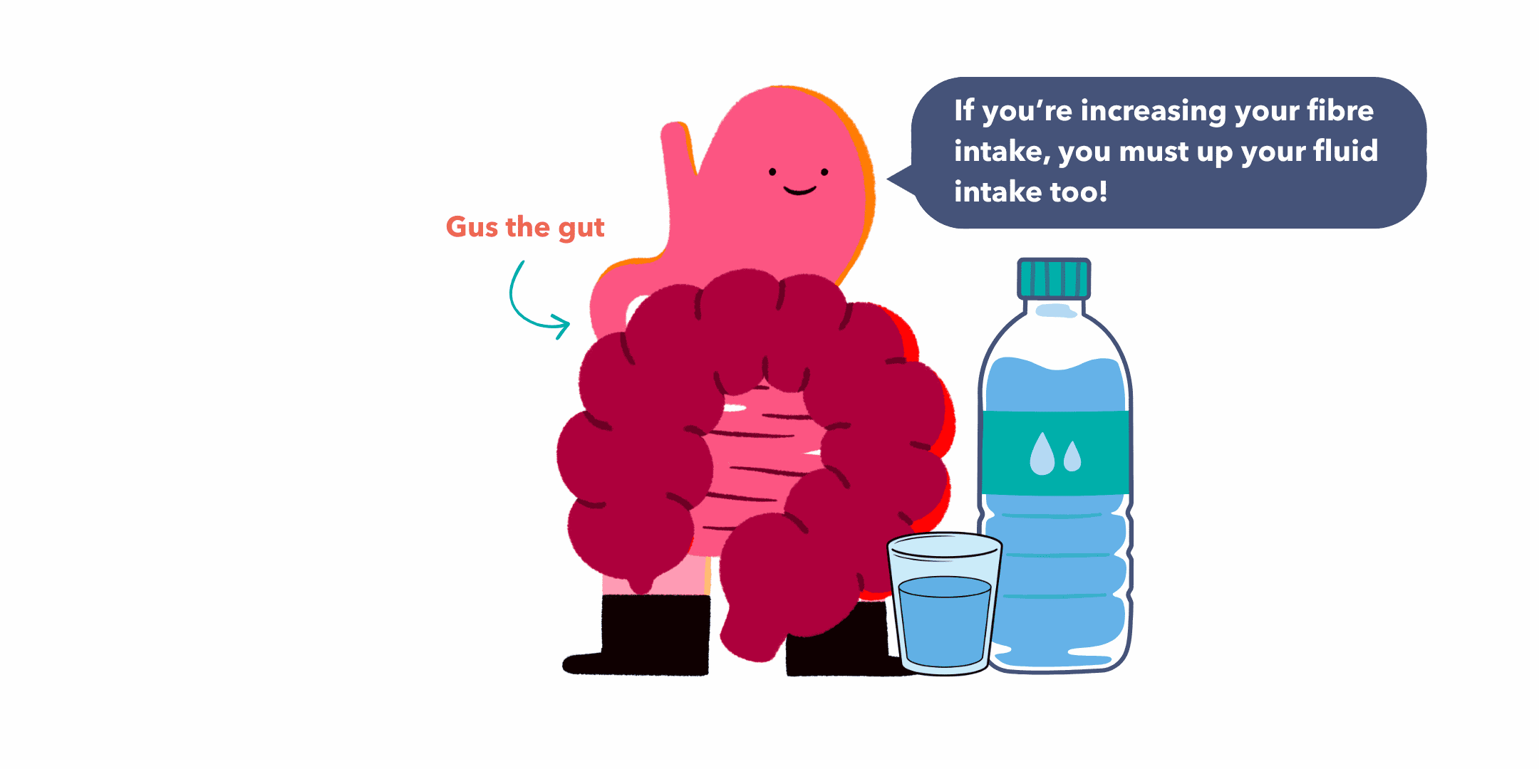 Guts UK's brand illustration character of the gut (oesophagus, stomach, small intestine and colon) is stood up and is smiling. The gut is bright pink, with a darker pink intestine, and is wearing black boots. There is a large bottle of water next to them and a glass with some water in too. A name label reads 'Gus the gut' and a speech bubble reads 'If you're increasing your fibre intake, you must up your fluid intake too!'