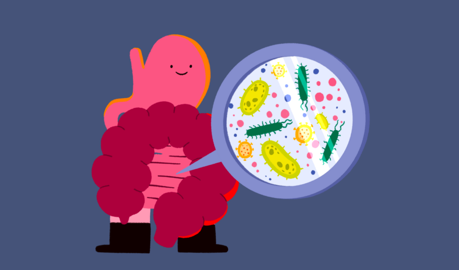 Guts UK's brand illustration character of the gut microbiome against a navy background.