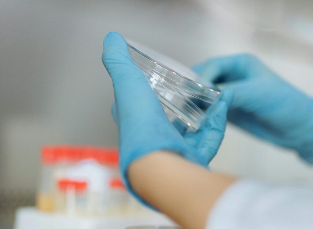 A photo of someone's hands wearing blue, latex gloves, holding some petri dishes in a lab.
