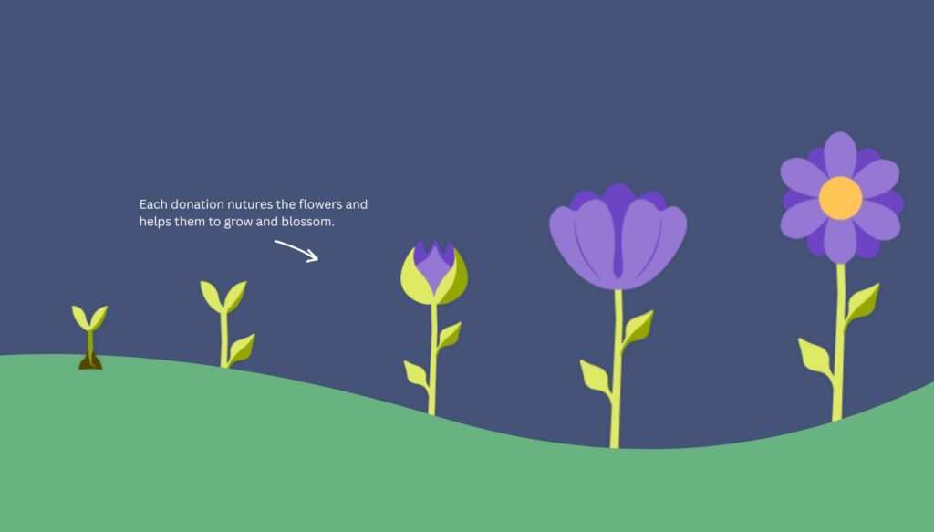 Five flowers in a line, growing in grass, demonstrating the five stages of bloom for the Guts UK Memory Garden.