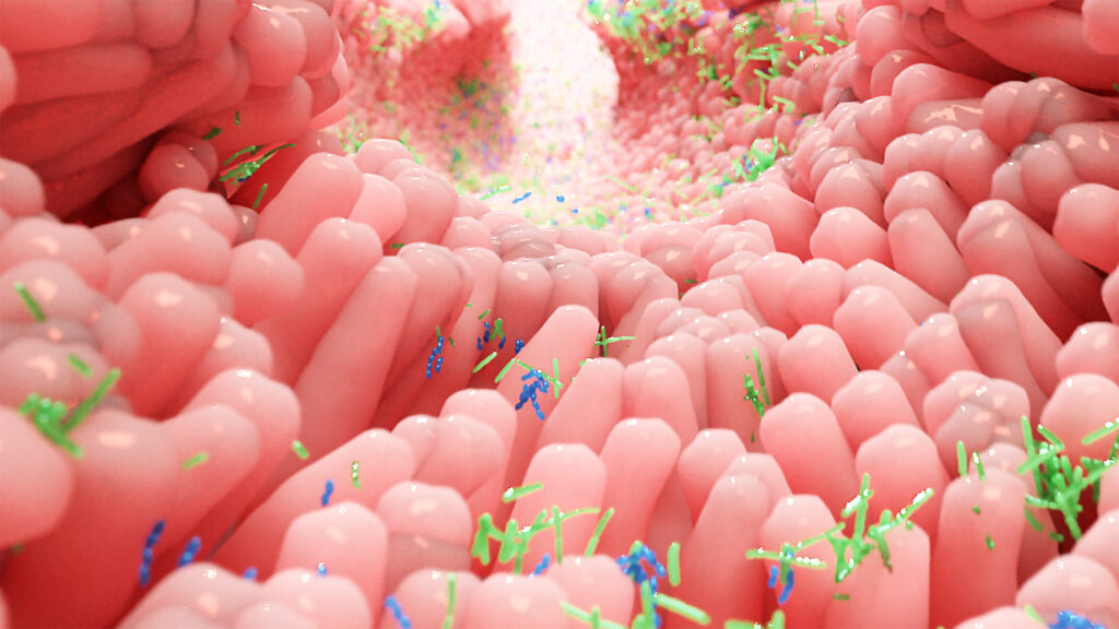 A 3D medical illustration of the inside of a large bowel, showing pink, finger-like intestinal villi lining the walls, with various green and blue rod-shaped bacteria of the gut microbiome scattered across the surface.